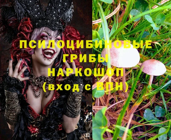 мефедрон Гусев