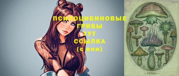 а пвп мука Гусиноозёрск