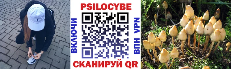 продажа наркотиков Меленки Псилоцибиновые грибы MAGIC MUSHROOMS